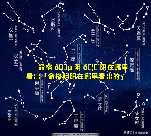 命格 🐵 阴 🦈 阳在哪里看出「命格阴阳在哪里看出的」